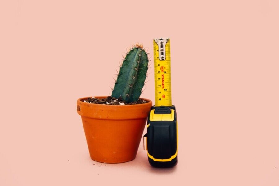 Small size of penis is a big problem for men